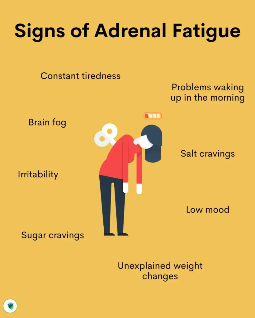 adrenal fatigue and its causes